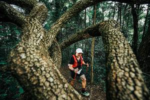 BIB: 
                            <button type="button" onclick="openModal(25394312)" class="btn btn-primary btn-sm float-right btn-popup" data-toggle="modal" data-target=".modal-high-quality">
                        <i class="fas fa-shopping-cart"></i> Add to Cart
                    </button>
                                            <button type="button" onclick="isThisMe(25394312, true)" class="btn btn-success btn-sm float-right btn-popup btn-isme hidden" data-toggle="tooltip" data-placement="bottom" title="นี่คือรูปของคุณใช่ไหม คลิกที่นี่เพื่อเอาเข้าอัลบั้ม">
                        <i class="fas fa-plus"></i> Add to album
                    </button>
                    <button type="button" onclick="isThisMe(25394312, false)" class="btn btn-warning btn-sm float-right btn-popup btn-isnotme hidden">
                        <i class="fas fa-ban"></i> Remove from album
                    </button>